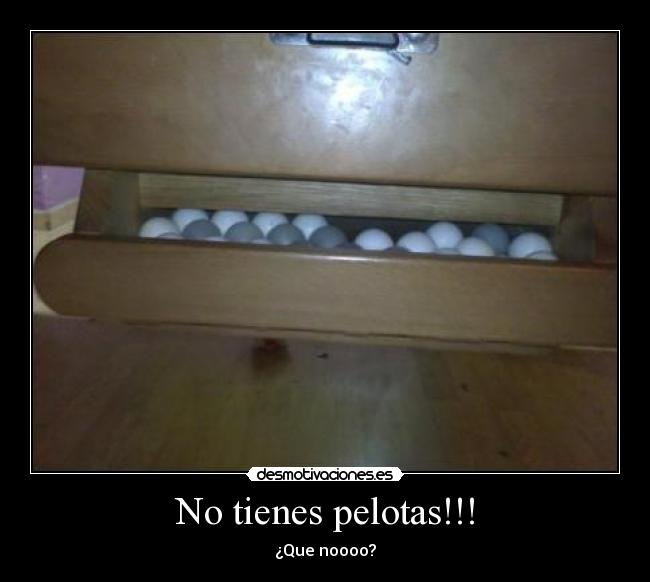 No tienes pelotas!!! - ¿Que noooo?