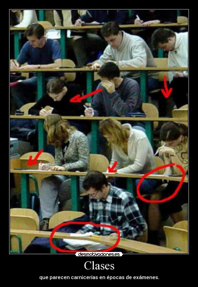 Clases - que parecen carnicerías en épocas de exámenes.
