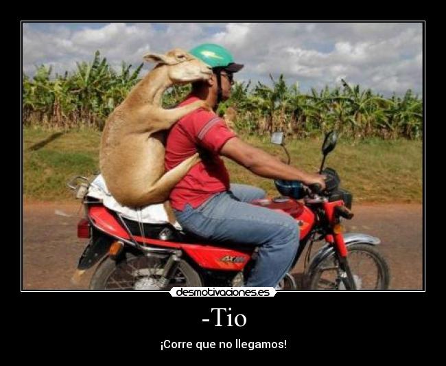-Tio - ¡Corre que no llegamos!
