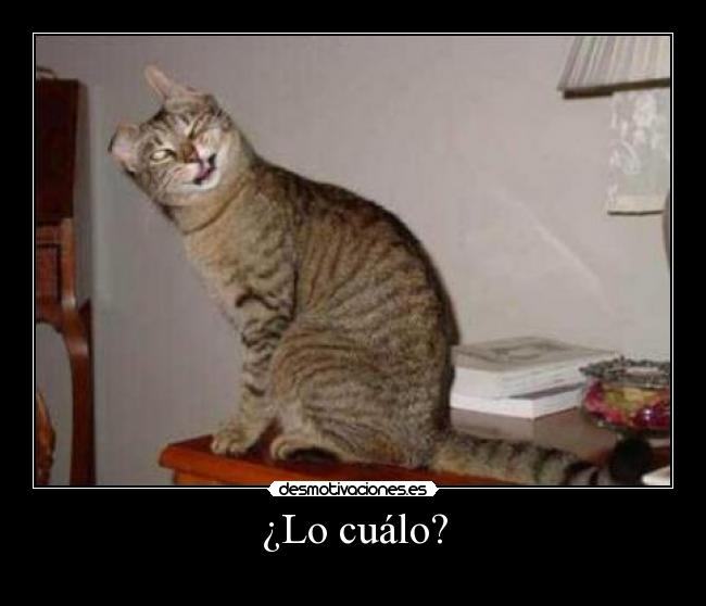 ¿Lo cuálo? -
