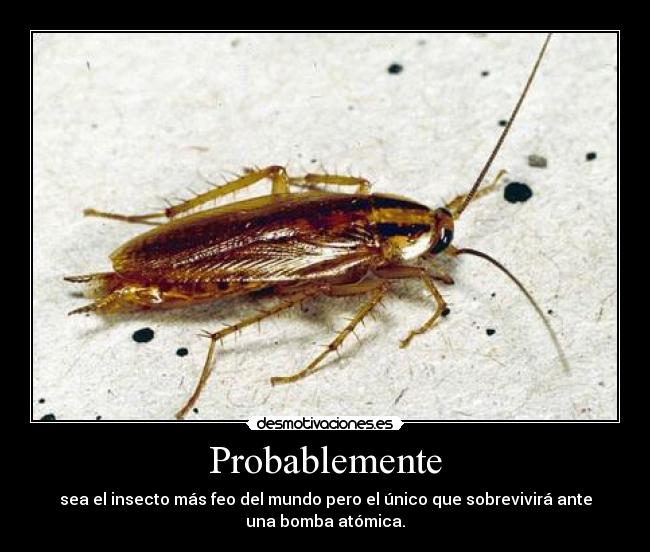 Probablemente - sea el insecto más feo del mundo pero el único que sobrevivirá ante
una bomba atómica.