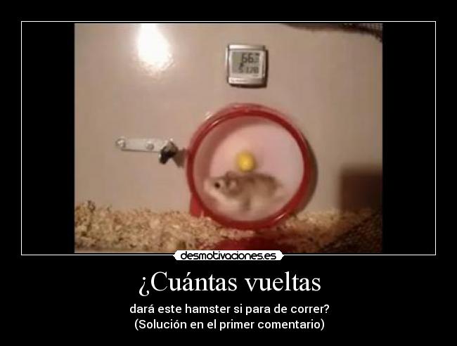 carteles cuantas vueltas hamster para correr solucion desmotivaciones