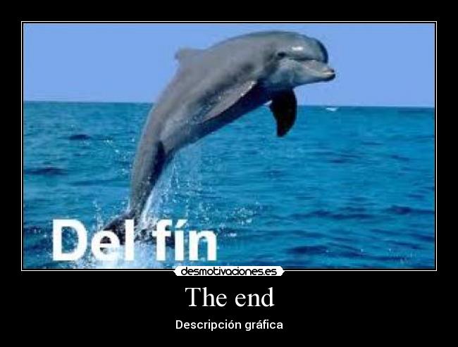 carteles delfin desmotivaciones
