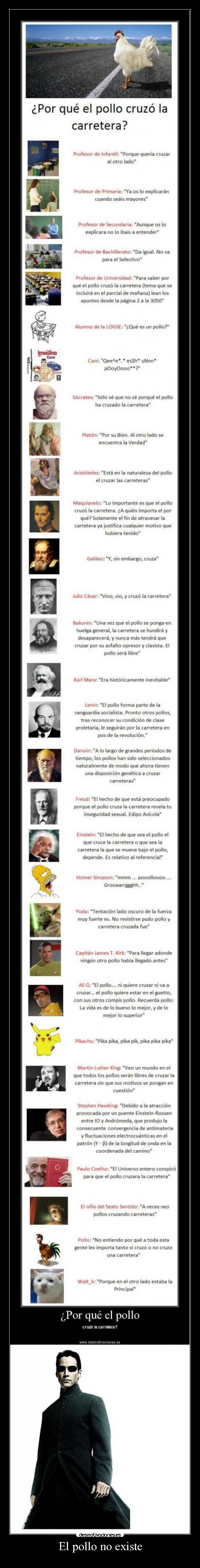 El pollo no existe - 