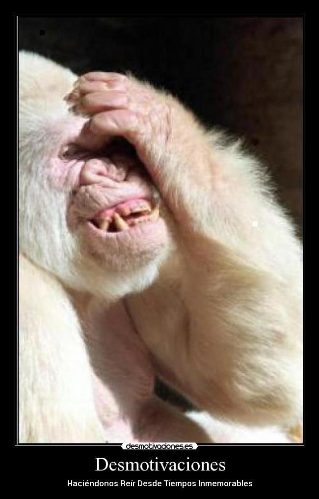 Desmotivaciones - Haciéndonos Reír Desde Tiempos Inmemorables