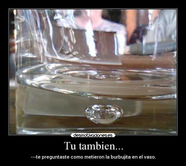 Tu tambien... -