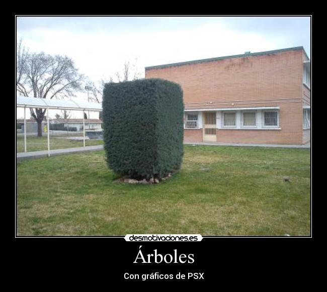 Árboles - 