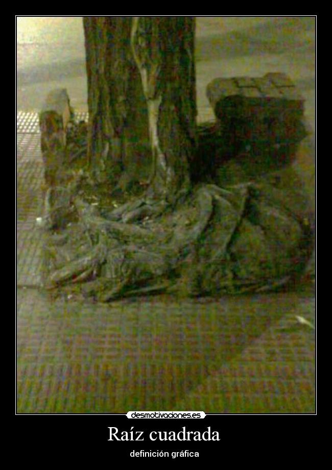 Raíz cuadrada - definición gráfica