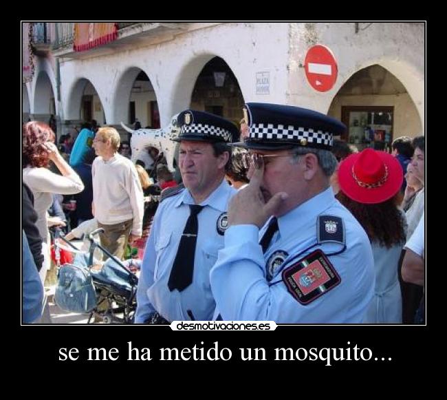se me ha metido un mosquito... -