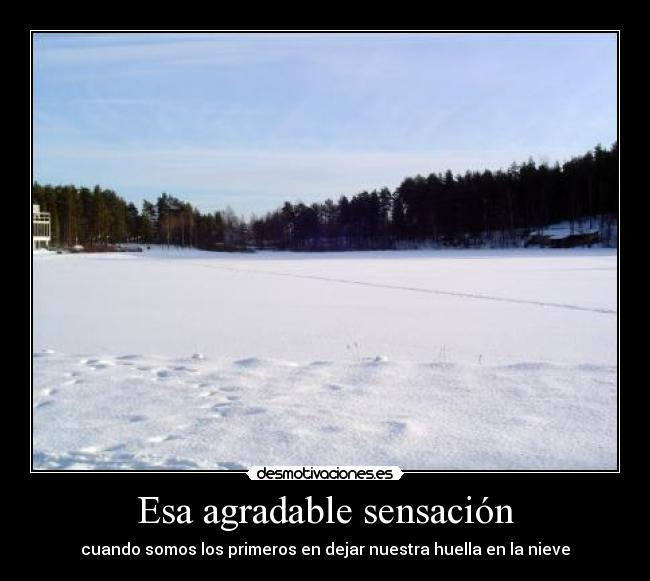 Esa agradable sensación - 