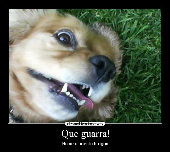 Que guarra! -