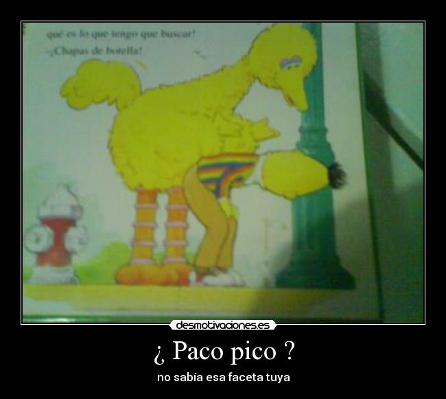 ¿ Paco pico ? - 