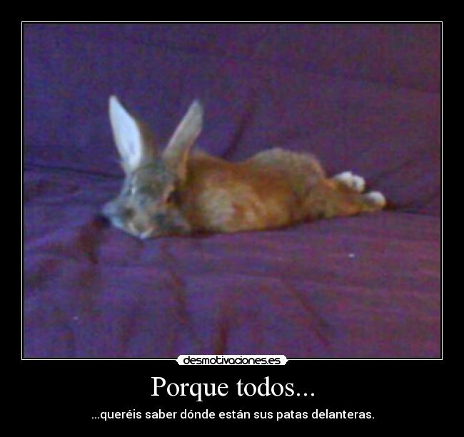 Porque todos... - 