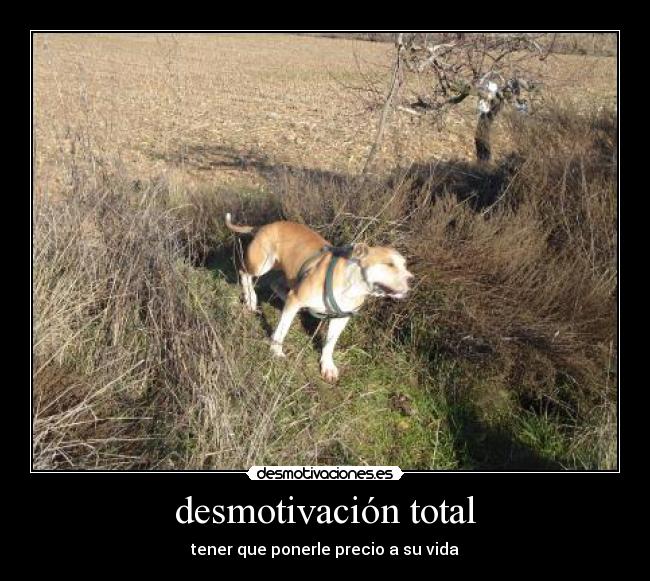 desmotivación total -