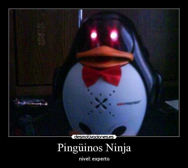 Pingüinos Ninja - nivel: experto