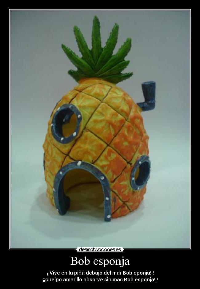 Bob esponja - ¡¡Vive en la piña debajo del mar Bob eponja!!!
¡¡cuelpo amarillo absorve sin mas Bob esponja!!!