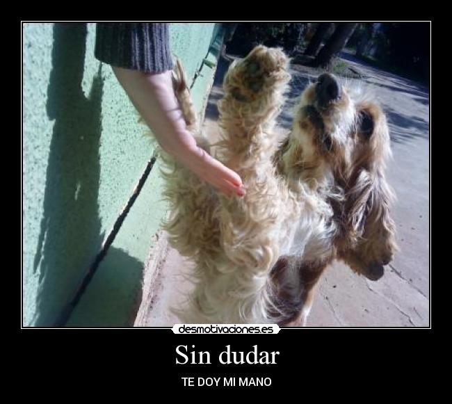 Sin dudar - TE DOY MI MANO