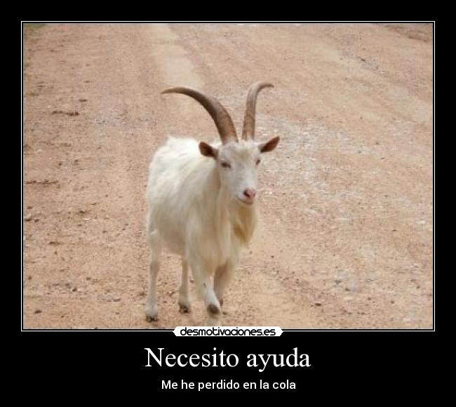 Necesito ayuda - Me he perdido en la cola