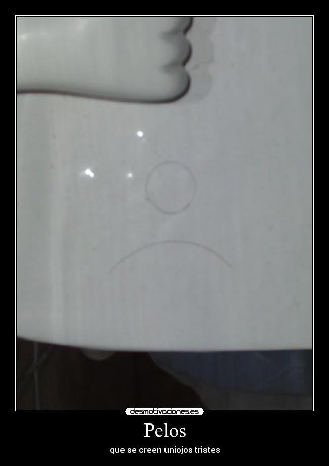 carteles pelos desmotivaciones