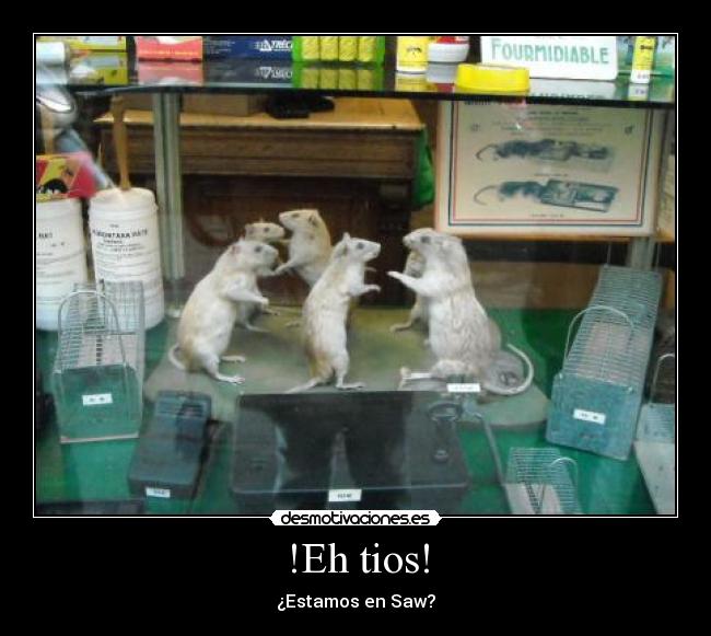 !Eh tios! - ¿Estamos en Saw?