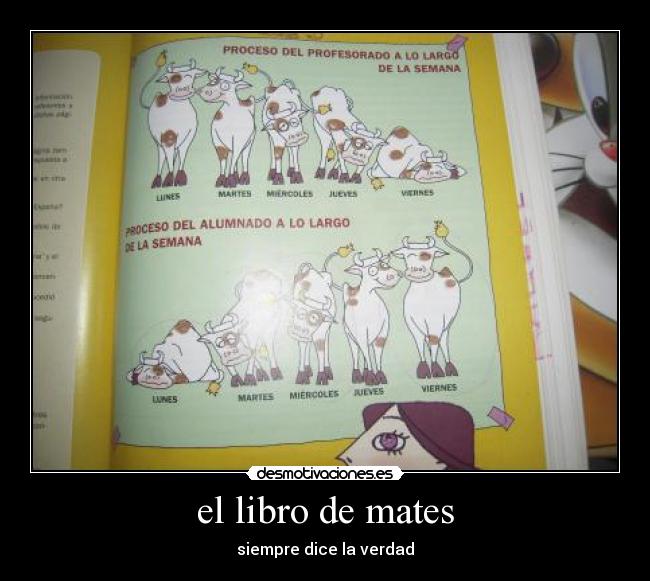el libro de mates -