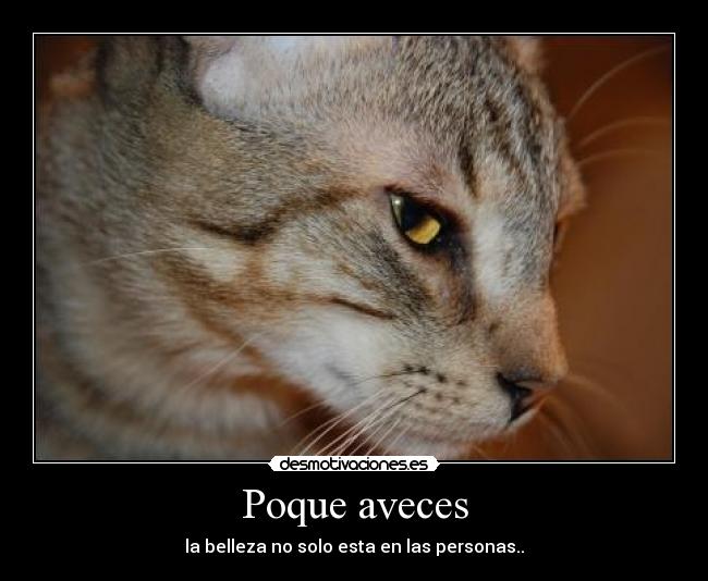 Poque aveces - 