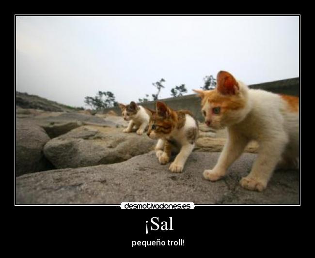 ¡Sal - pequeño troll!