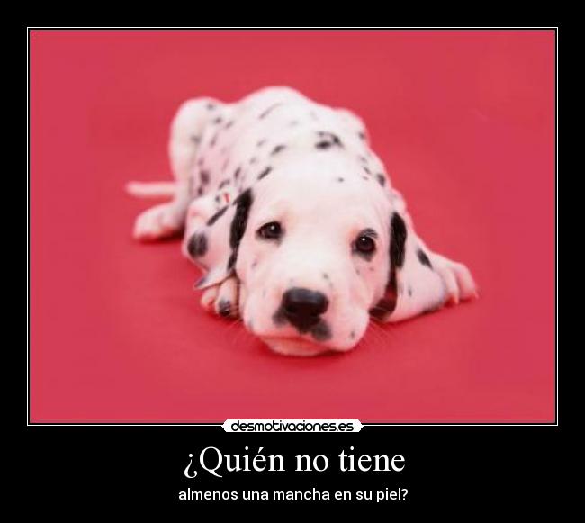 ¿Quién no tiene -