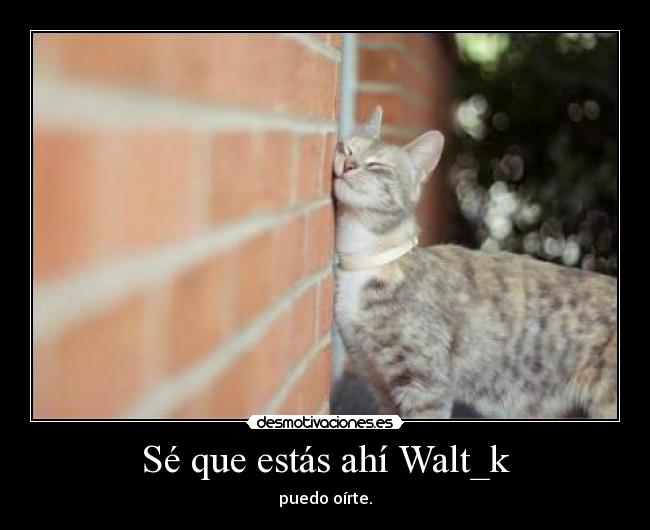 Sé que estás ahí Walt_k - 