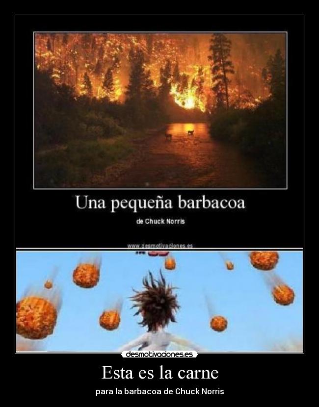 Esta es la carne - para la barbacoa de Chuck Norris