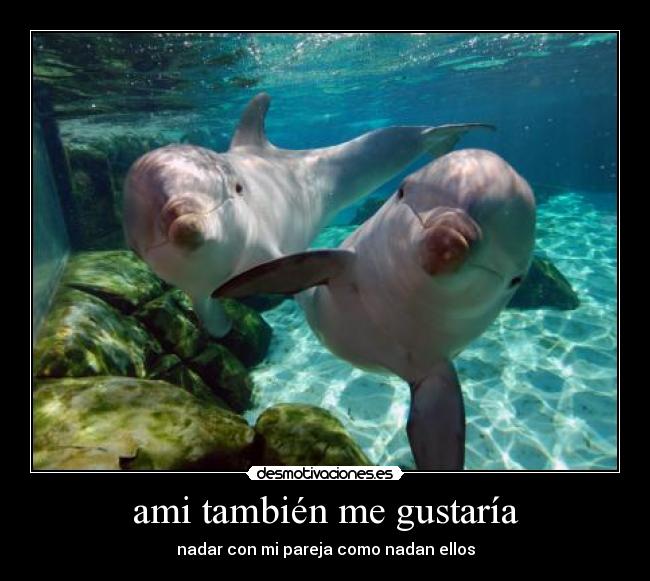 ami también me gustaría -