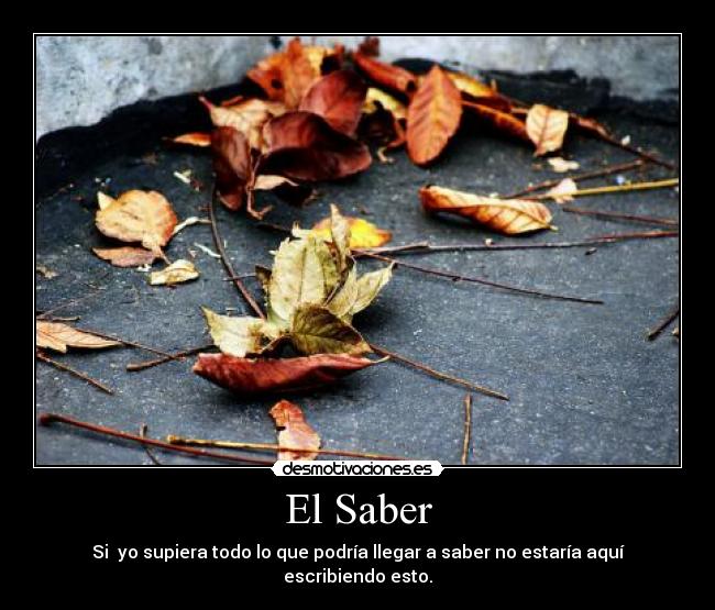 carteles sabiduria desmotivaciones