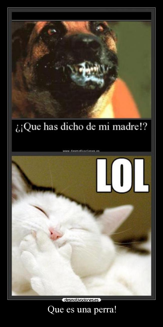 Que es una perra! -