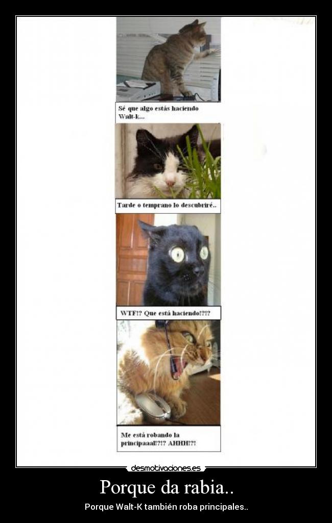Porque da rabia.. - Porque Walt-K también roba principales..