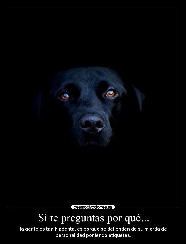 Si te preguntas por qué... - la gente es tan hipócrita, es porque se defienden de su mierda de
personalidad poniendo etiquetas.