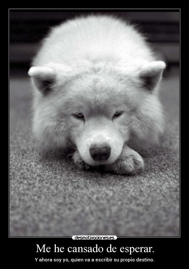 Me he cansado de esperar. - Y ahora soy yo, quien va a escribir su propio destino.