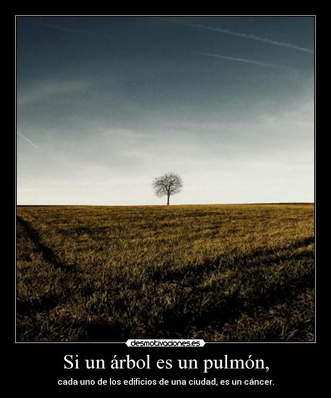 Si un árbol es un pulmón, - cada uno de los edificios de una ciudad, es un cáncer.