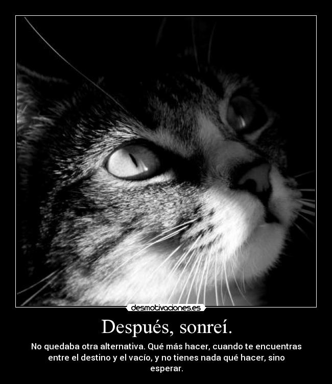 Después, sonreí. - No quedaba otra alternativa. Qué más hacer, cuando te encuentras
entre el destino y el vacío, y no tienes nada qué hacer, sino
esperar.