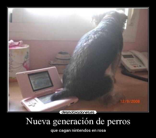 Nueva generación de perros - que cagan nintendos en rosa