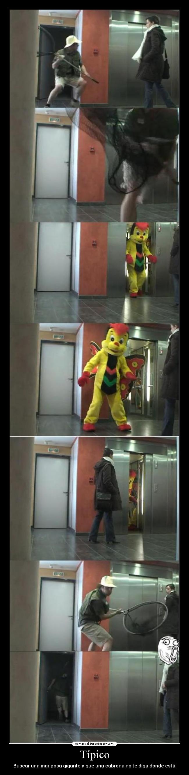 Típico - Buscar una mariposa gigante y que una cabrona no te diga donde está.