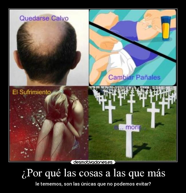 ¿Por qué las cosas a las que más -