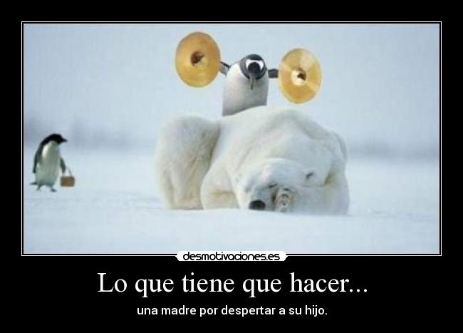 Lo que tiene que hacer... - 