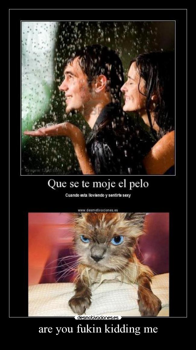 are you fukin kidding me - 