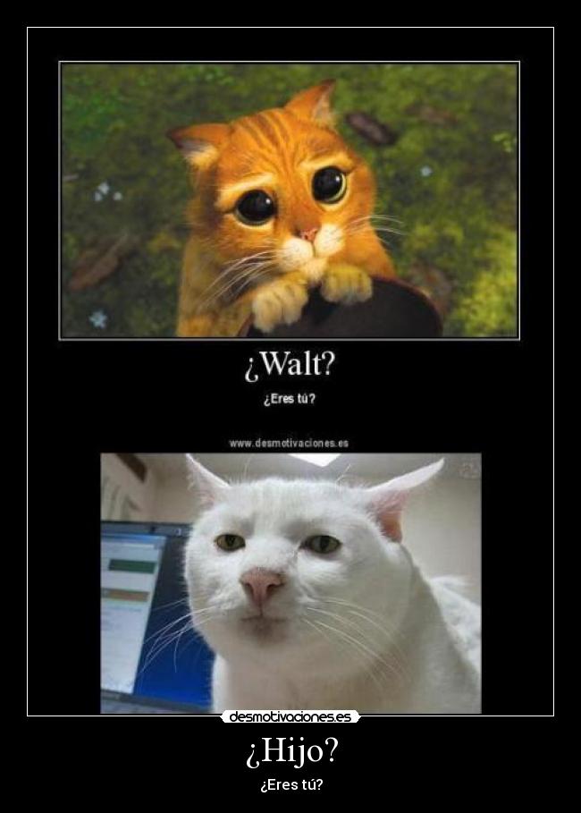 ¿Hijo? - ¿Eres tú?