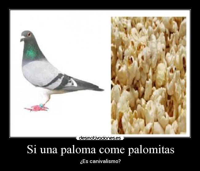 Si una paloma come palomitas - ¿Es canivalismo?