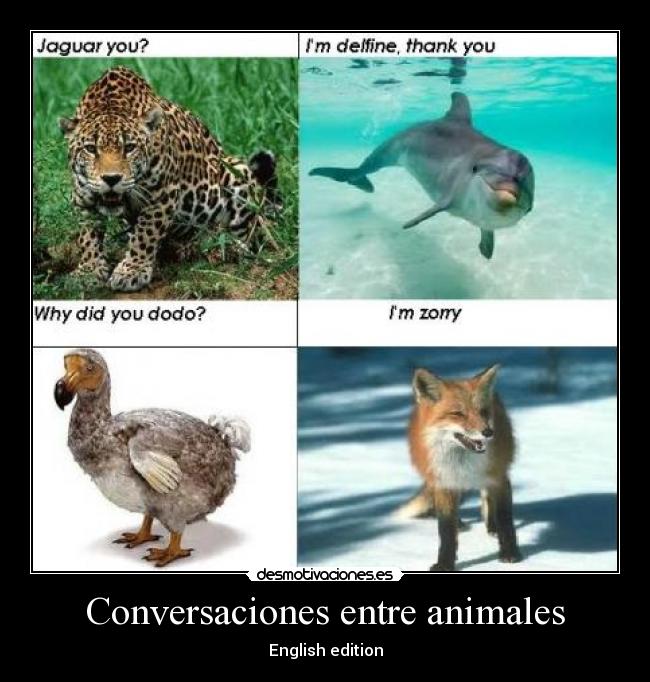 Conversaciones entre animales - English edition