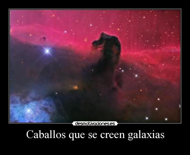 Caballos que se creen galaxias -