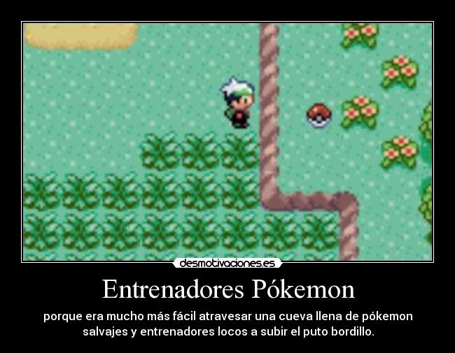 Entrenadores Pókemon -