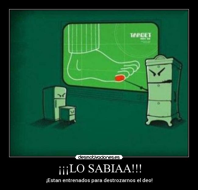 ¡¡¡LO SABIAA!!! - 