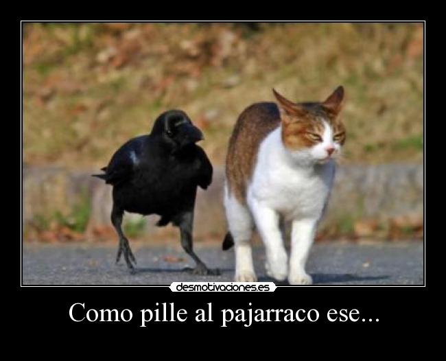 carteles yuanki desmotivaciones